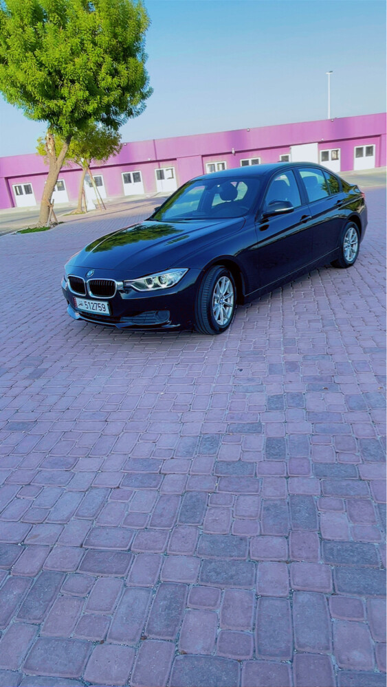 BMW 316 – 2014 - 6