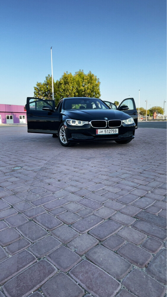 BMW 316 – 2014 - 11