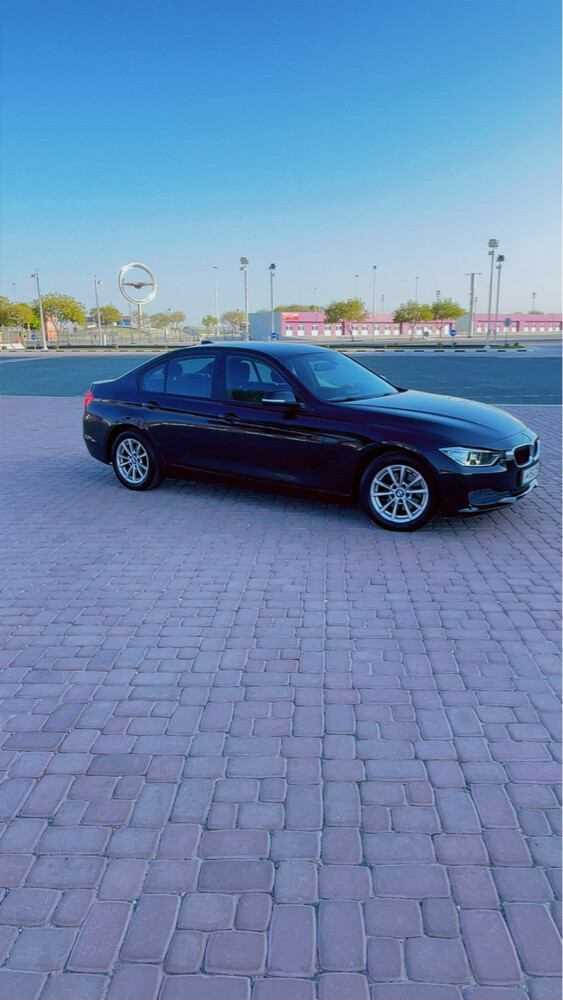 BMW 316 – 2014 - 8