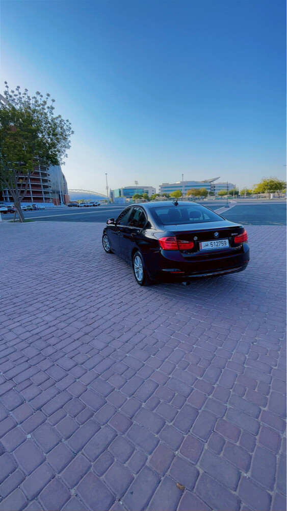 BMW 316 – 2014 - 4