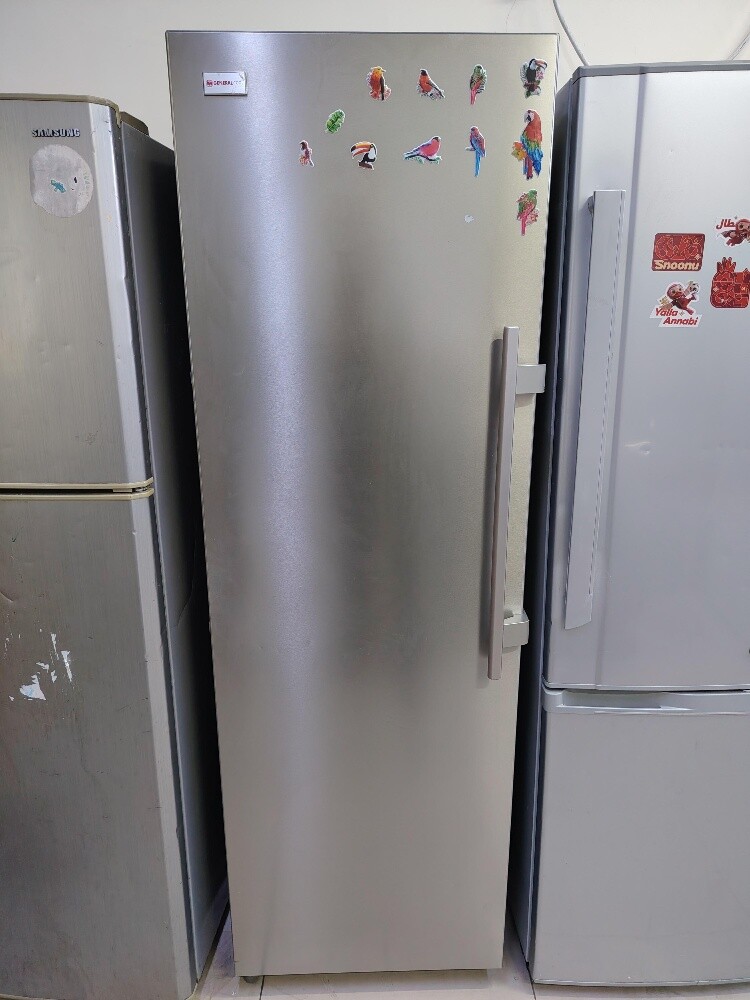 GeneralCool Stand Freezer For Sale - 1