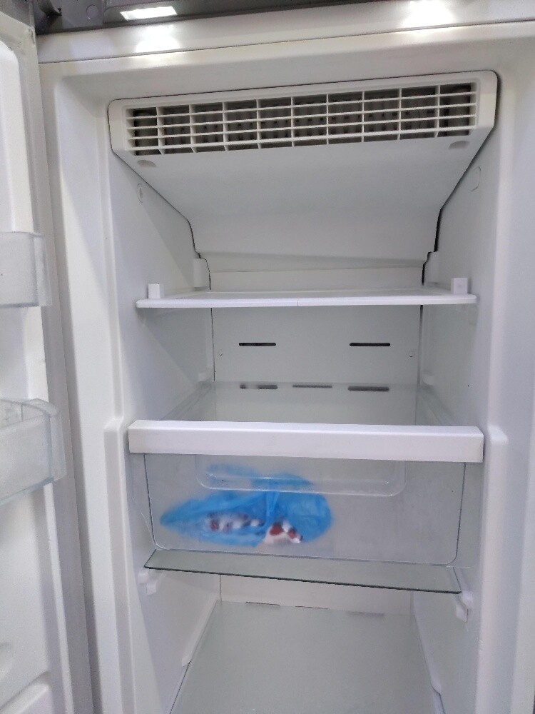 GeneralCool Stand Freezer For Sale - 4