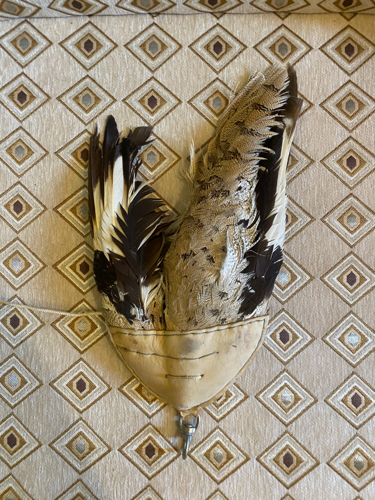 hubara for sale - 4