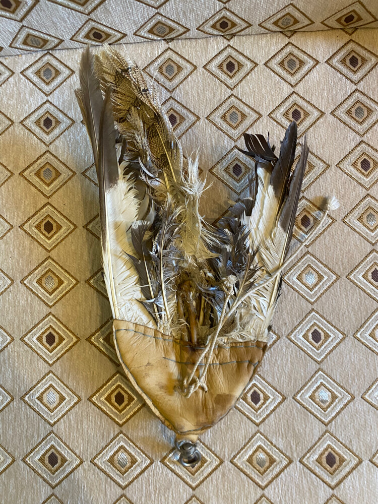 hubara for sale - 3