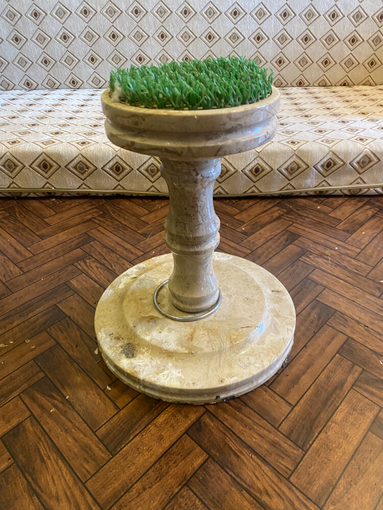 falcon perch for sale - 1