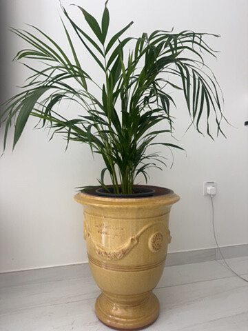 Elegant Decorative Ceramic Urn - 1
