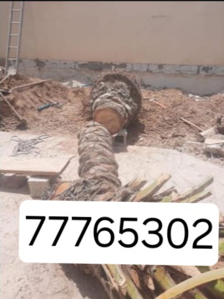 نقوم بتقطيع الأشجار والنخيل - 1
