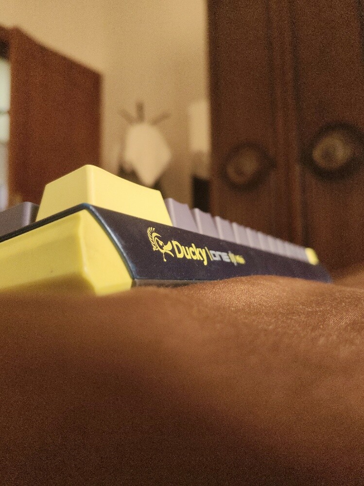 ducky keyboard +974 55509598 - 2