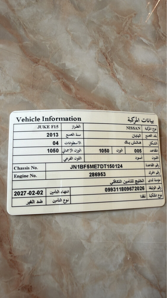 نيسان جوك - 3