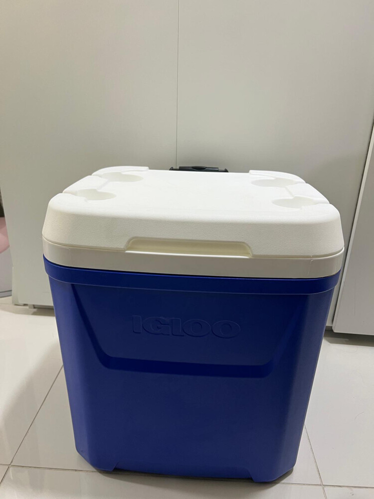 Igloo Cooler - 1