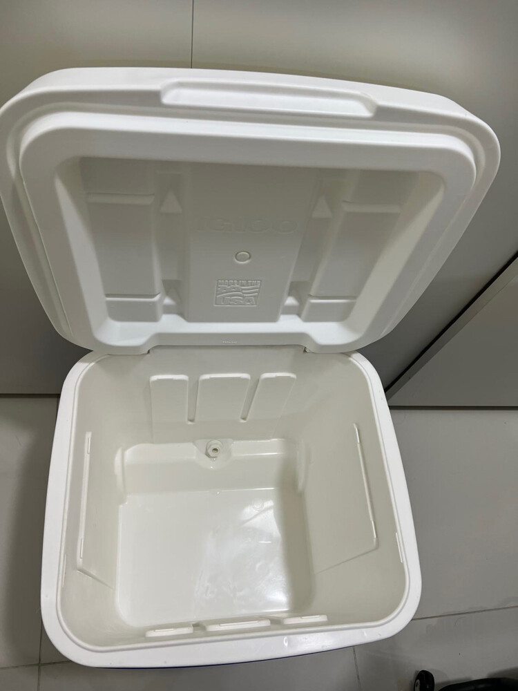 Igloo Cooler - 3