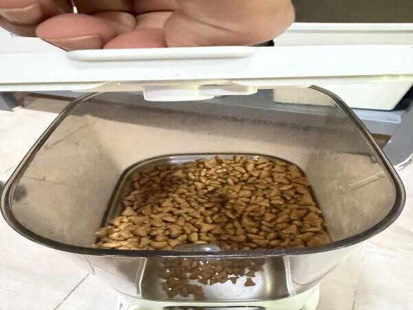 Automatic Cat Feeder - 4