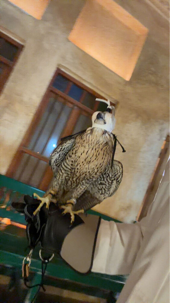 جير تبع  - 2