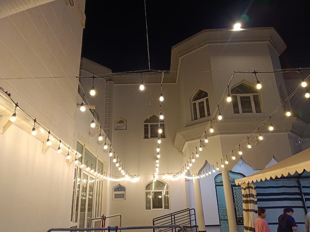 Black wire with bulbs.... - 1