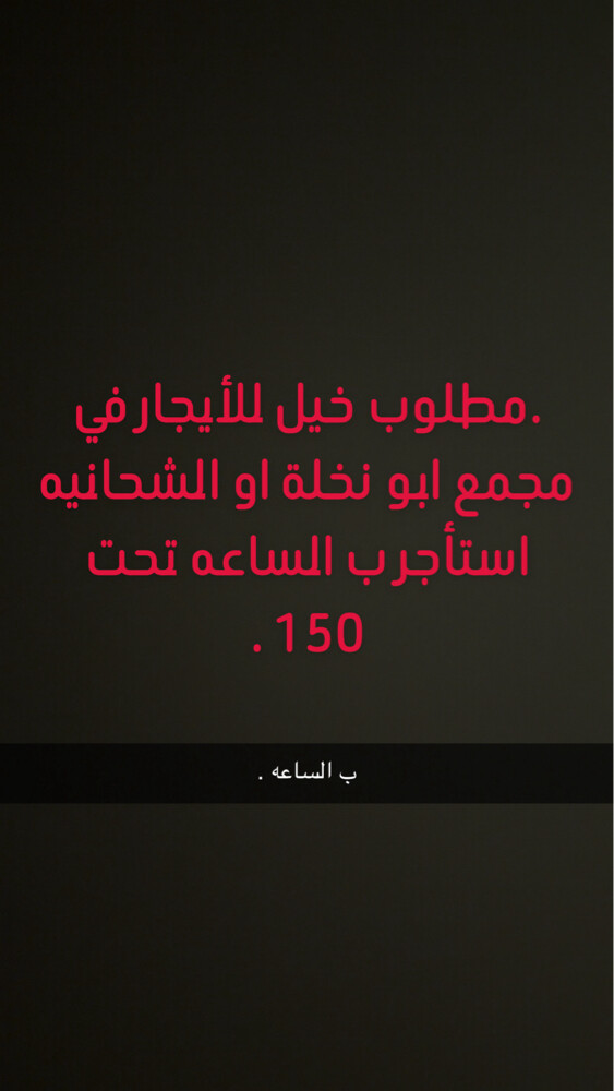 مطلوب خيل للأيجار - 1