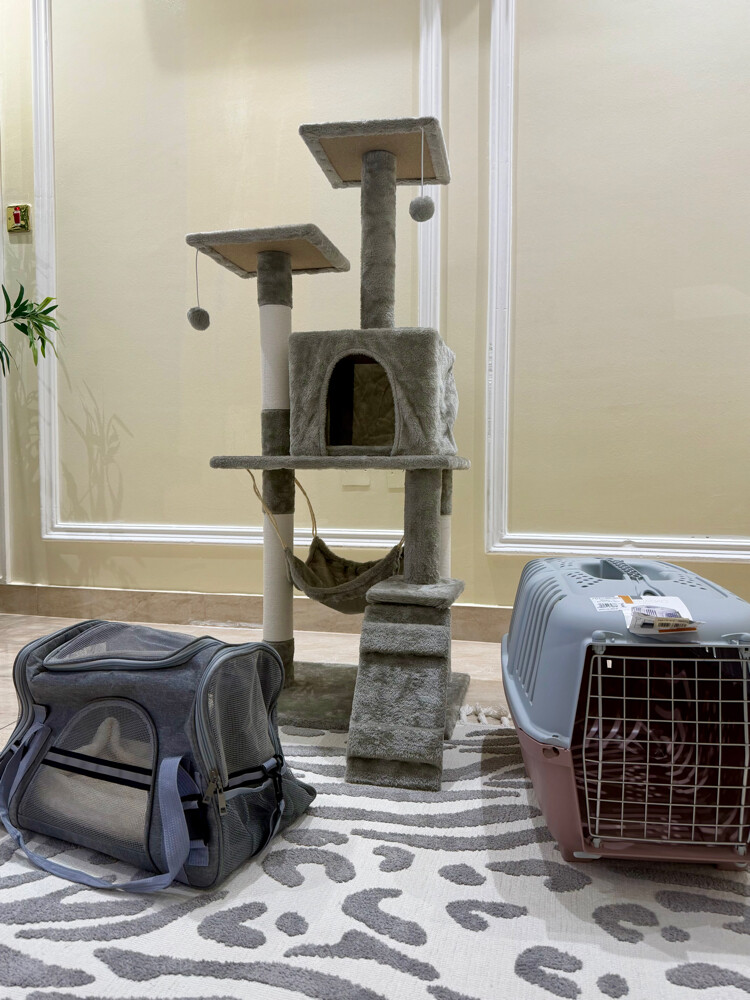 Cat hous +Soft Carrier +Hard Crate - 1