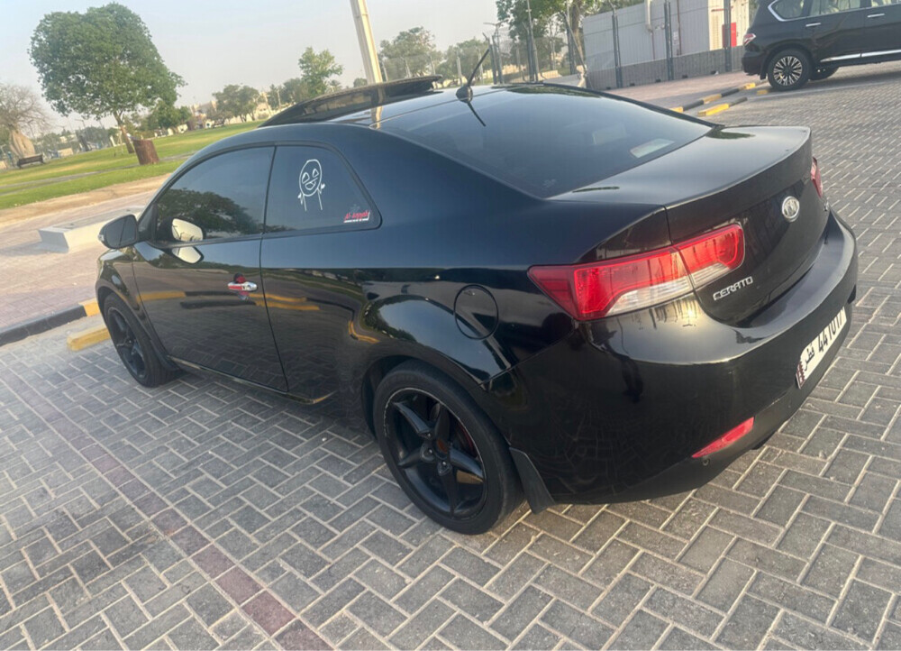 KIA ٢٠١٠ - 3