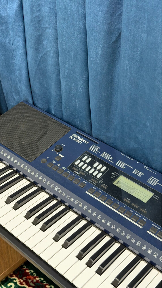 Org Roland - 1
