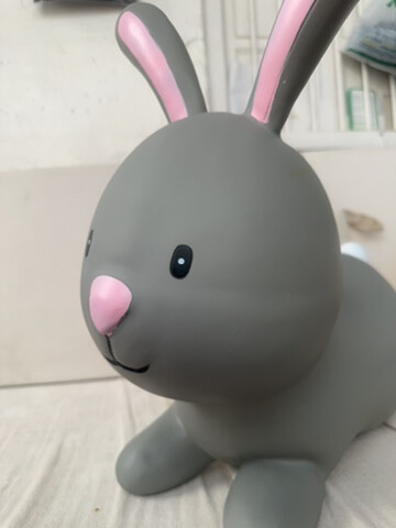 jumping rabbit  - 2