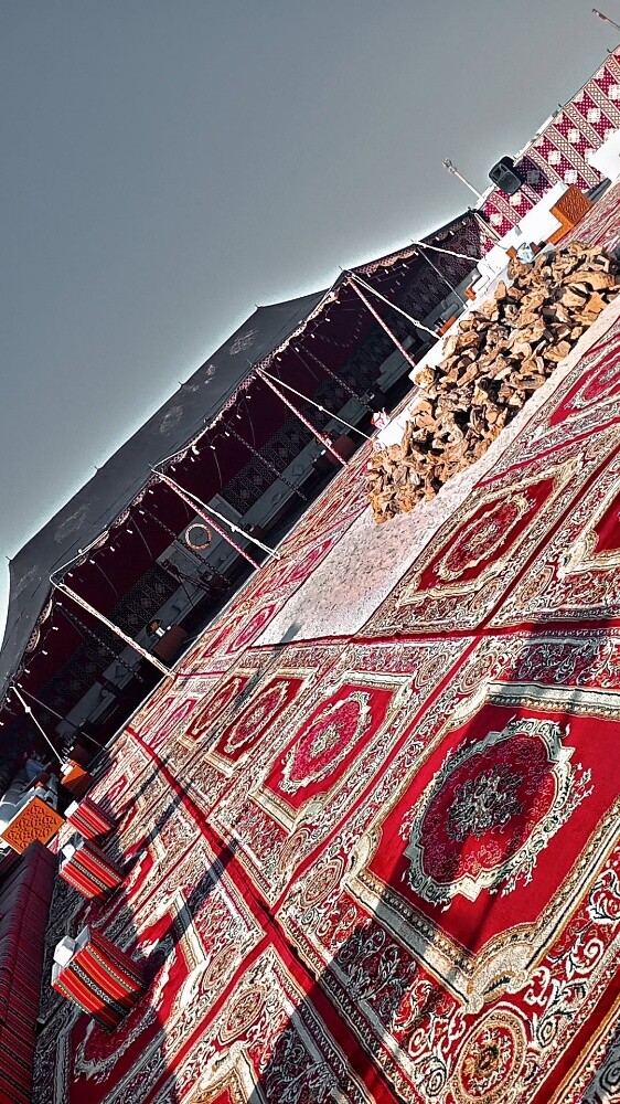 تركيب العزب - 1