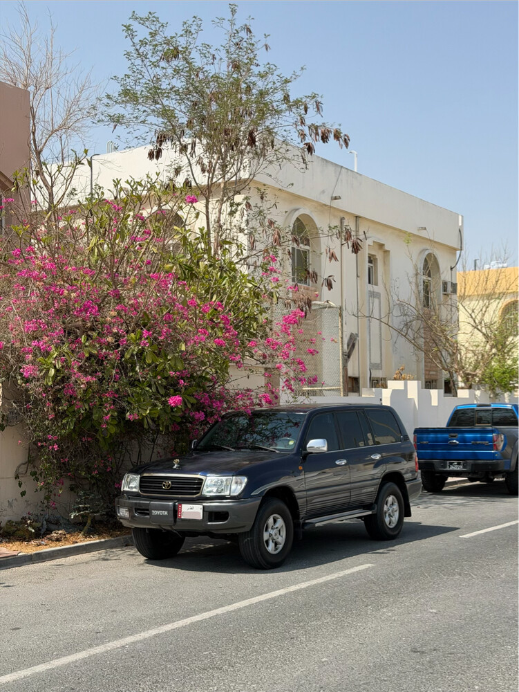 Land Cruiser GXR - 7