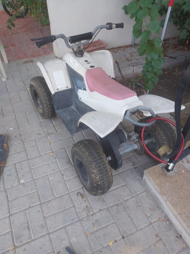 بطبط - 2