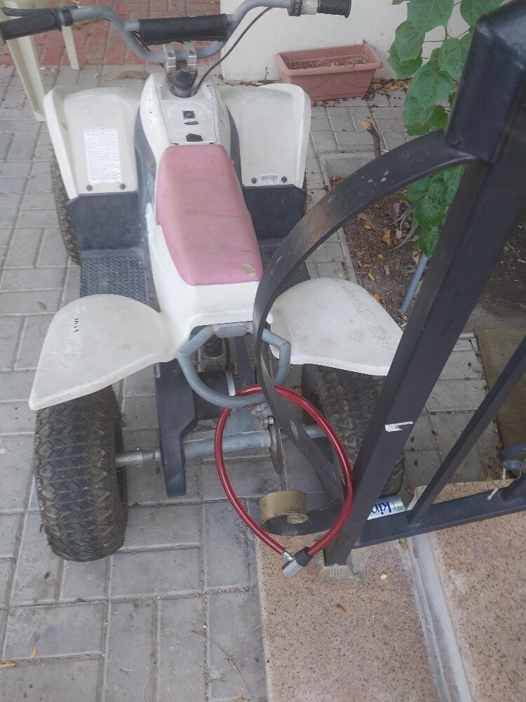 بطبط - 3