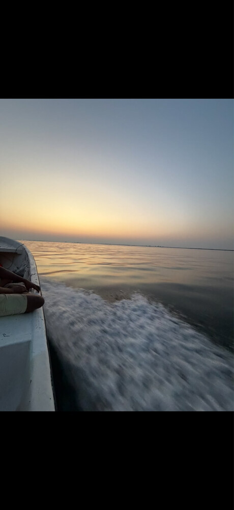 Al-Dhaan boat for sale - 2
