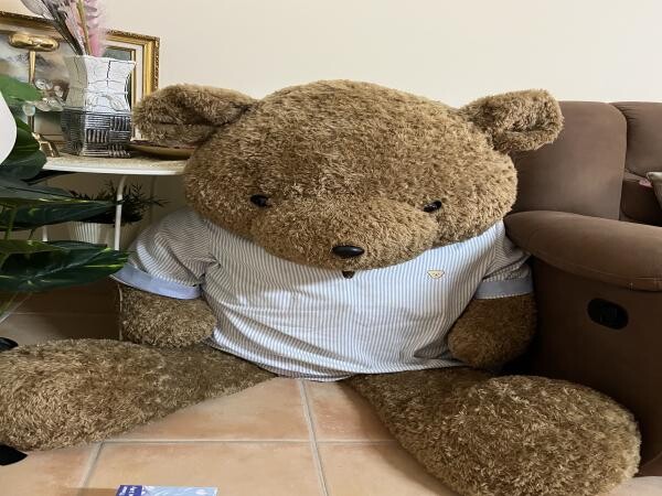Giant Teddy bear fo sale - 1