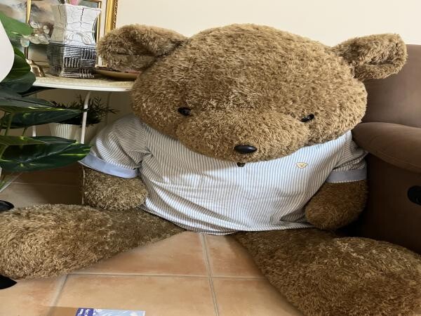 Giant Teddy bear fo sale - 2