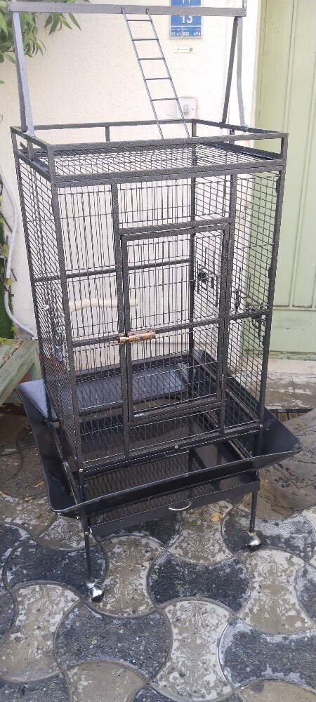 bird cage - 2