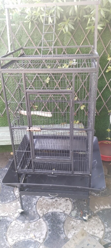 bird cage - 1