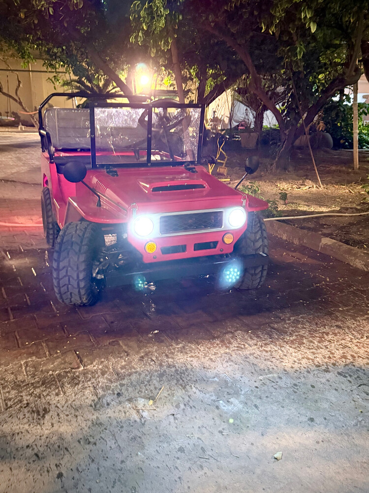 ميني جيب - 6