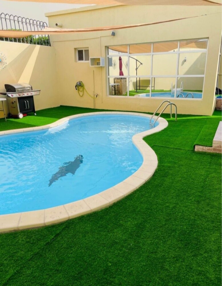 Artificial Grass carpet - 5