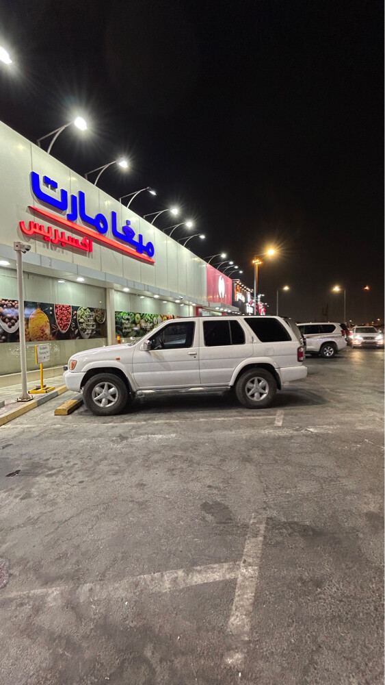Nissan pathfinder - 1