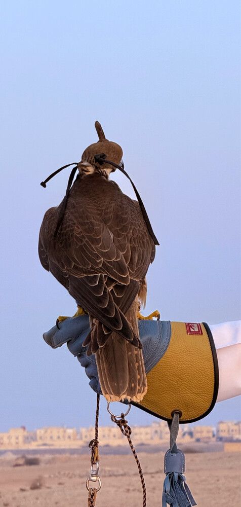 وكري - 4