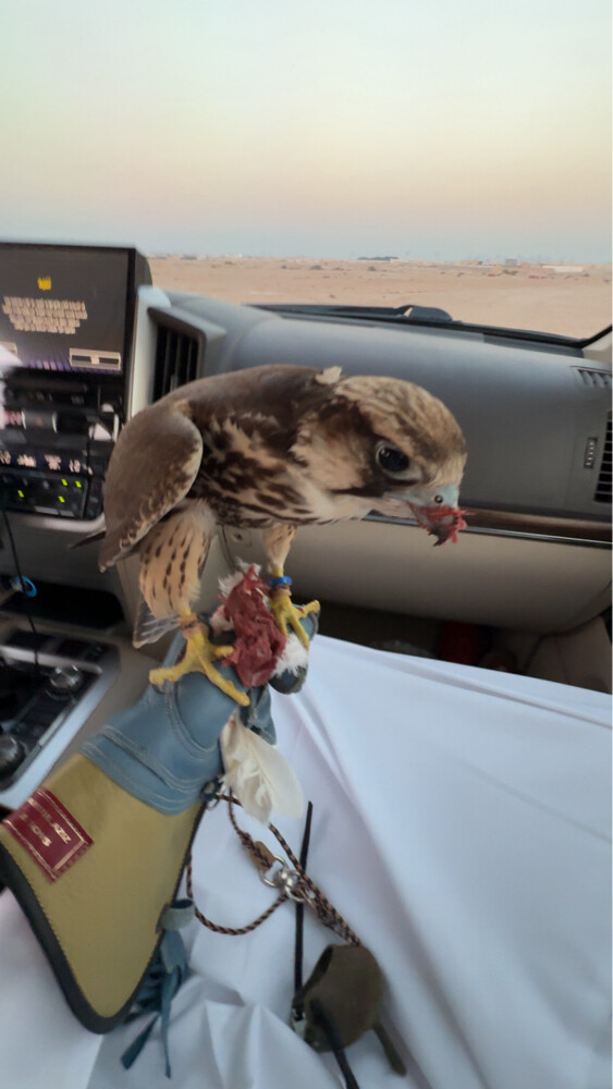 وكري - 3