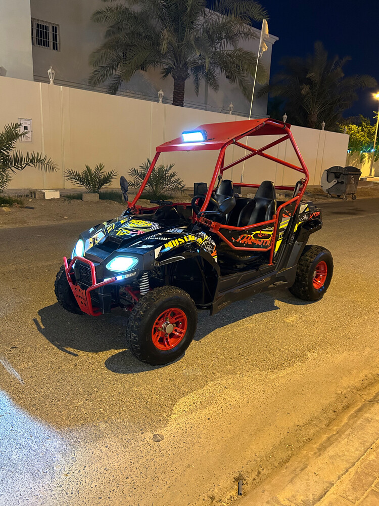 جيب 250سي سي  - 1