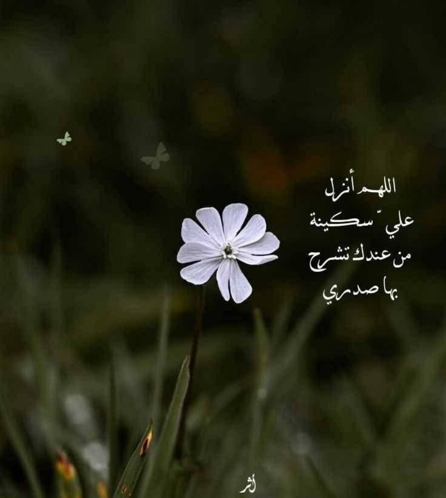 Abu Ahmad - 1
