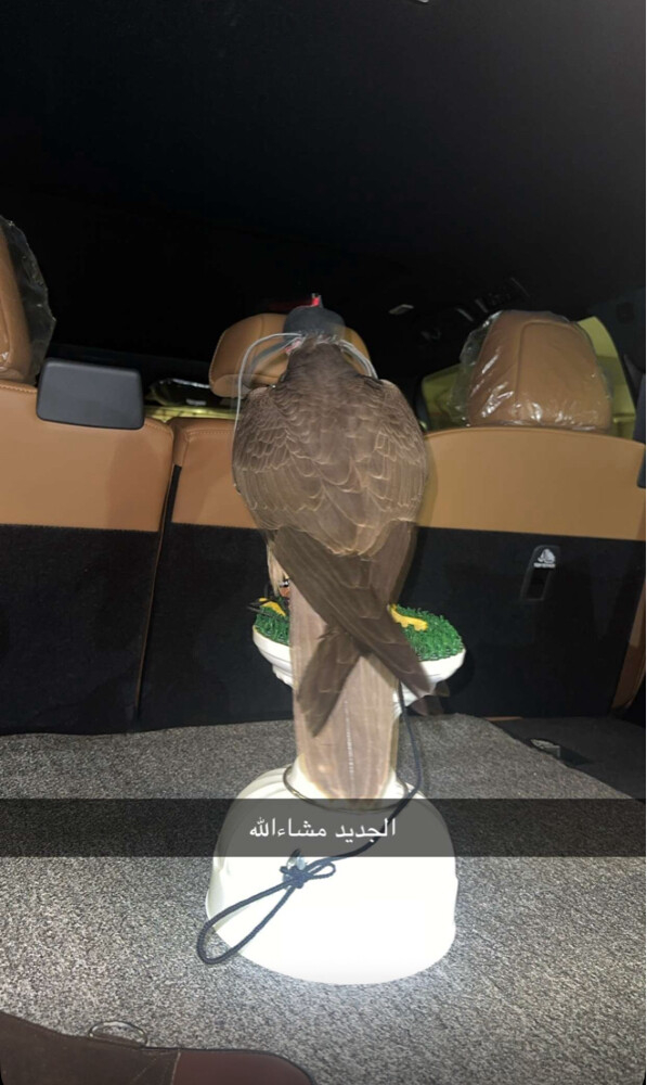 بيع - 2