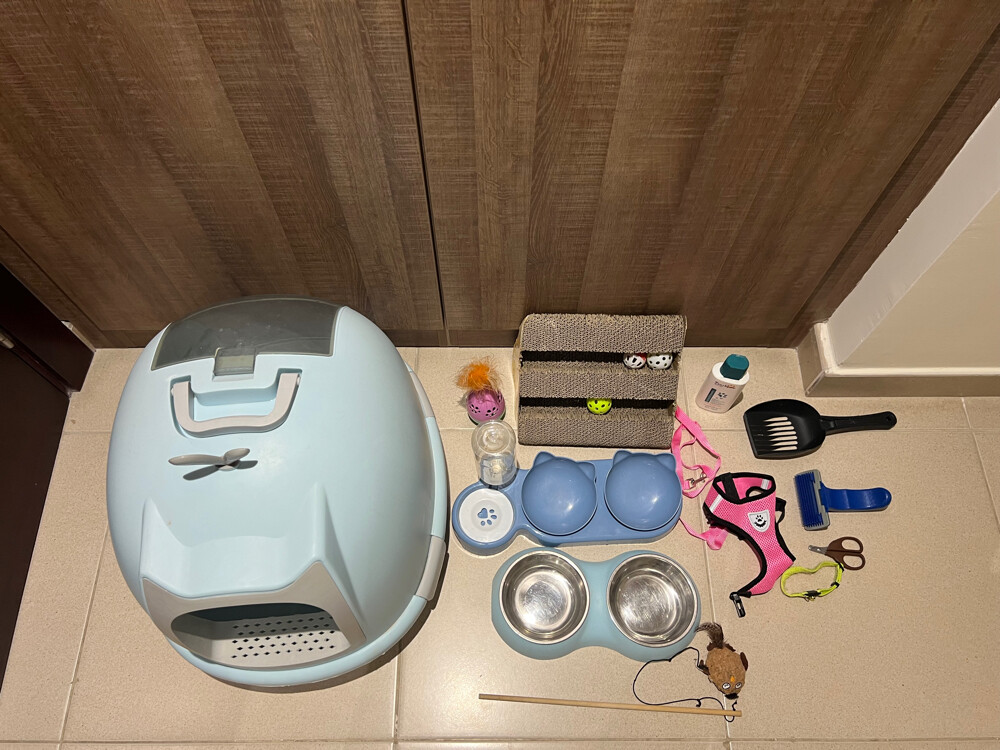 cats stuff - 2