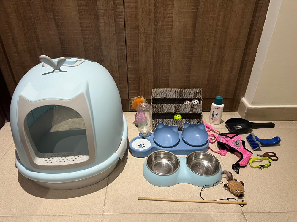 cats stuff - 1