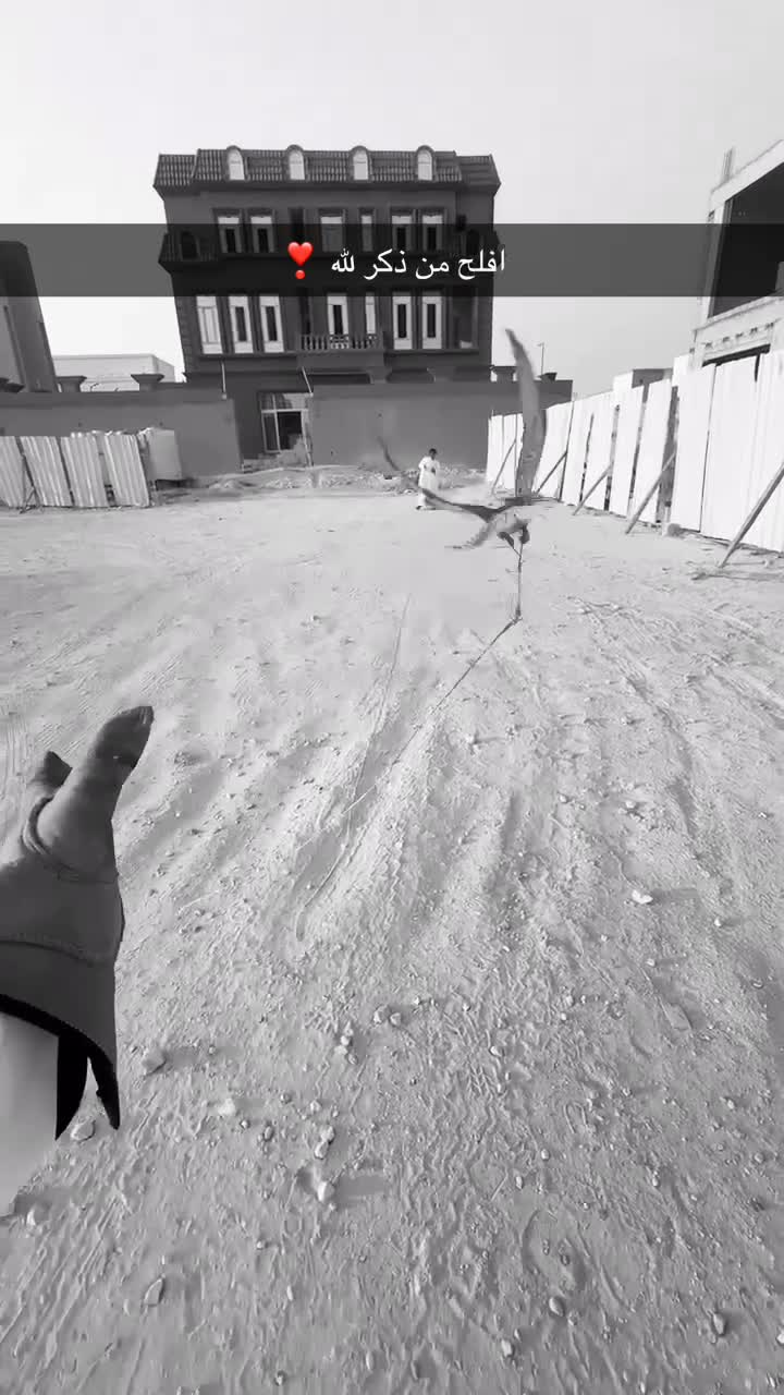 للبيع - 2