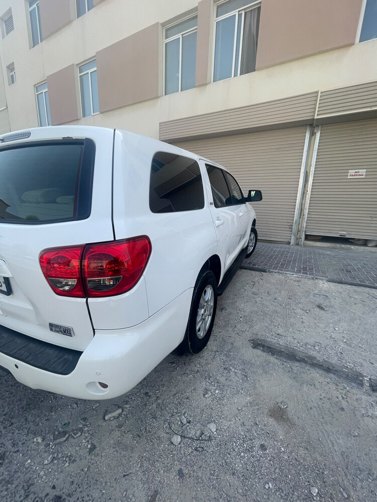 سكويا للبيع - 2