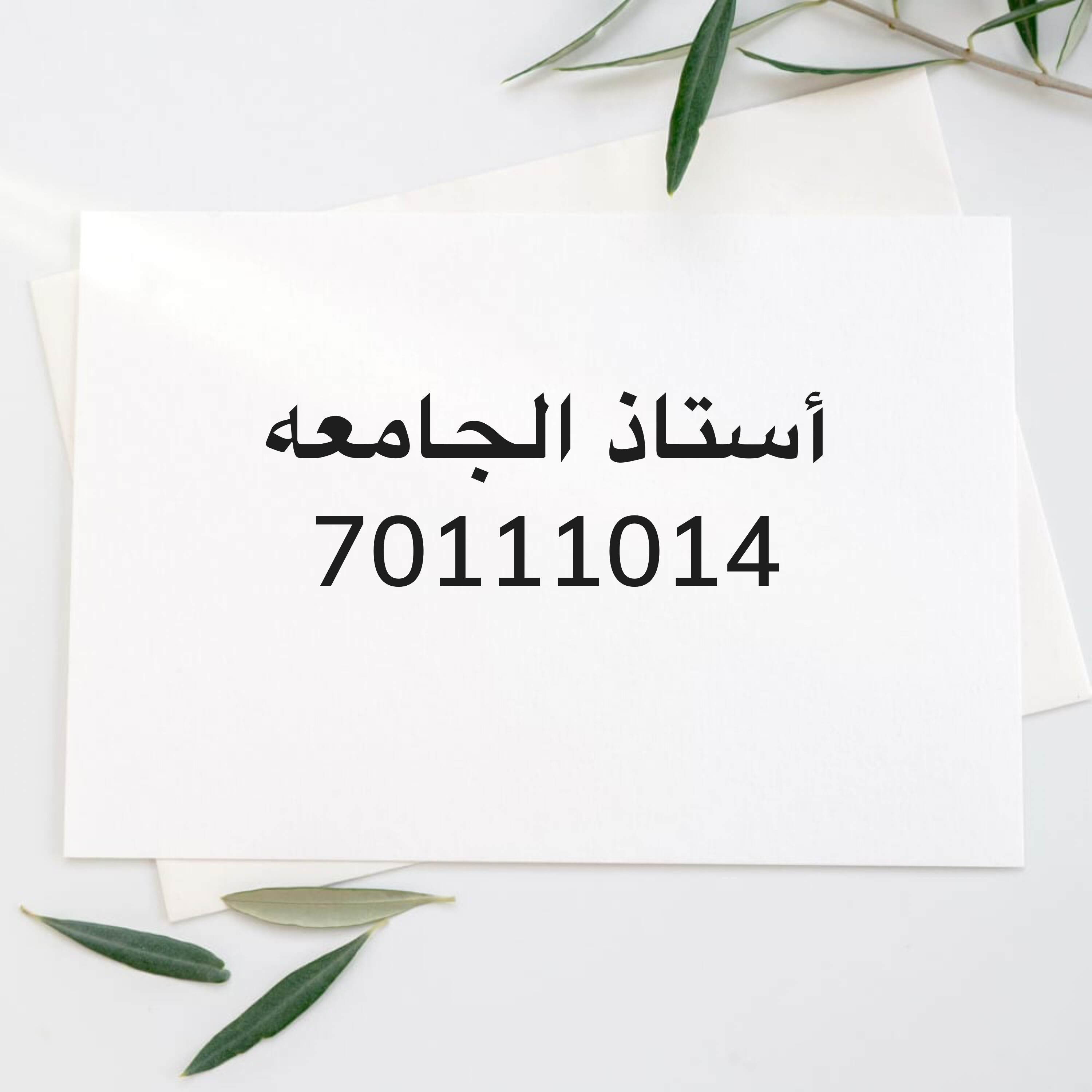 أستاذ لطلاب الجامعات خبره كبيره  - 1