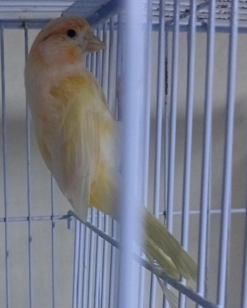 For Sale - 3