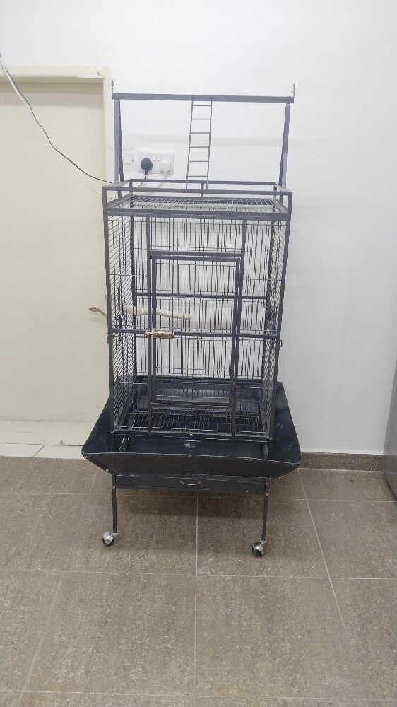 bird cage - 4