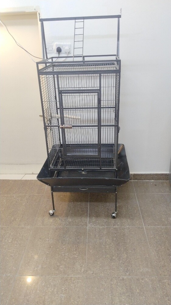 bird cage - 3
