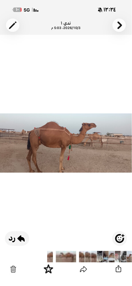 خلفه طيبه - 3