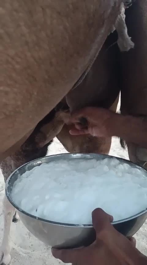 خلفه طيبه - 1